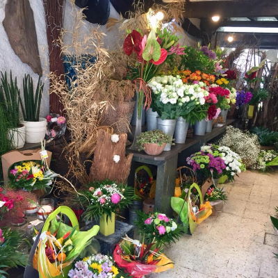 entrée fleurs boutique Aldebert